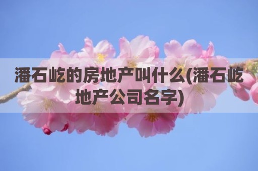 潘石屹的房地产叫什么(潘石屹地产公司名字)