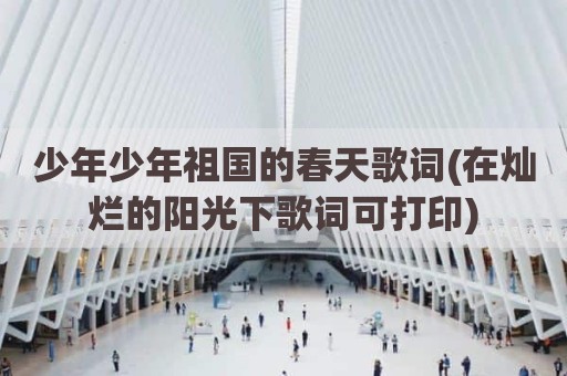少年少年祖国的春天歌词(在灿烂的阳光下歌词可打印)