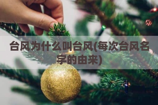 台风为什么叫台风(每次台风名字的由来)