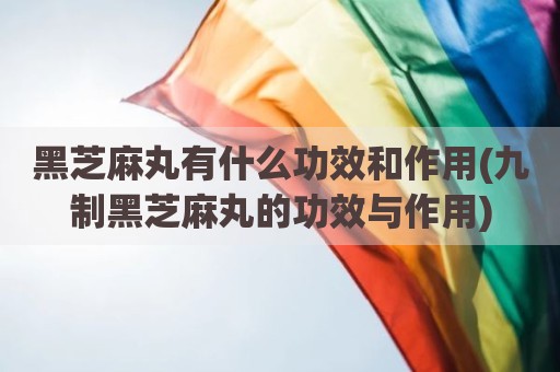 黑芝麻丸有什么功效和作用(九制黑芝麻丸的功效与作用)