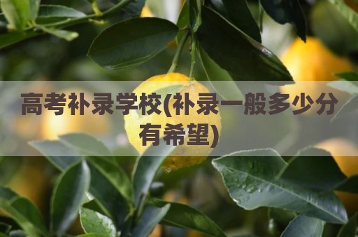 高考补录学校(补录一般多少分有希望)