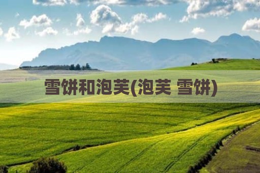 雪饼和泡芙(泡芙 雪饼)
