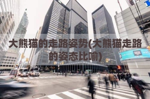大熊猫的走路姿势(大熊猫走路的姿态比喻)