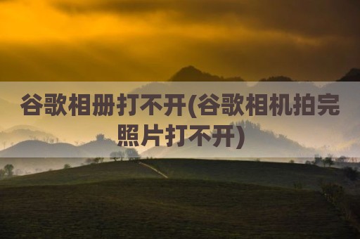 谷歌相册打不开(谷歌相机拍完照片打不开)