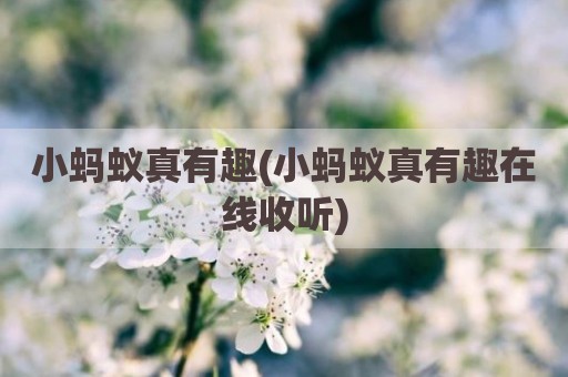 小蚂蚁真有趣(小蚂蚁真有趣在线收听)