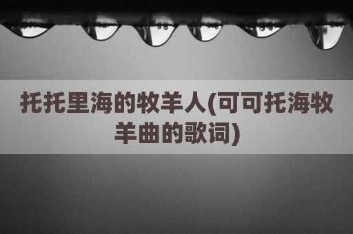 托托里海的牧羊人(可可托海牧羊曲的歌词)