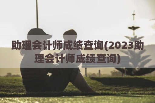 助理会计师成绩查询(2023助理会计师成绩查询)