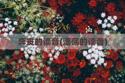 奔丧的读音(漂荡的读音)