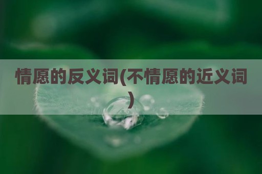 情愿的反义词(不情愿的近义词)