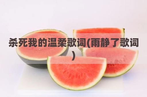 杀死我的温柔歌词(雨静了歌词)