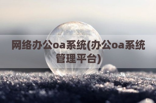 网络办公oa系统(办公oa系统管理平台)