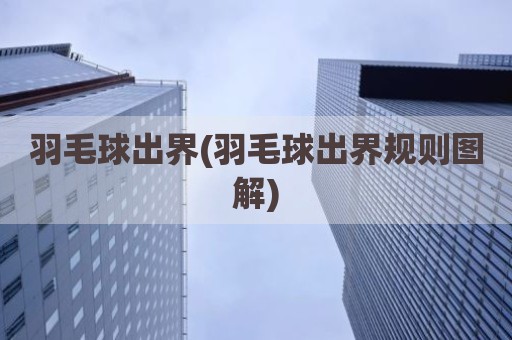 羽毛球出界(羽毛球出界规则图解)