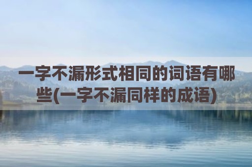 一字不漏形式相同的词语有哪些(一字不漏同样的成语)