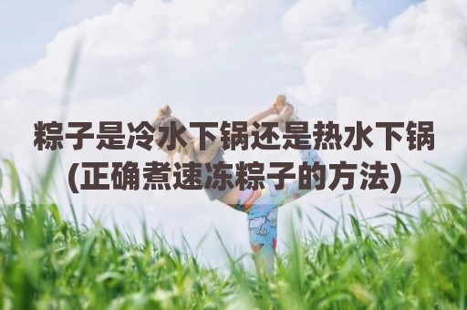 粽子是冷水下锅还是热水下锅(正确煮速冻粽子的方法)
