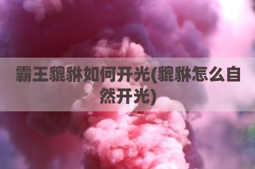 霸王貔貅如何开光(貔貅怎么自然开光)