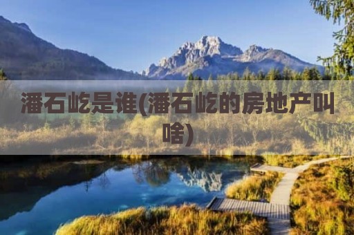 潘石屹是谁(潘石屹的房地产叫啥)