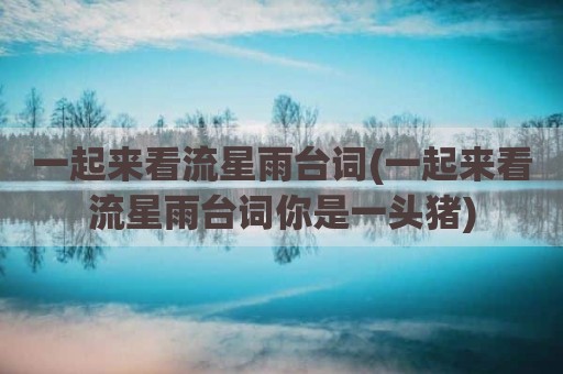 一起来看流星雨台词(一起来看流星雨台词你是一头猪)