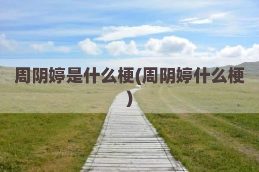 周阴婷是什么梗(周阴婷什么梗)