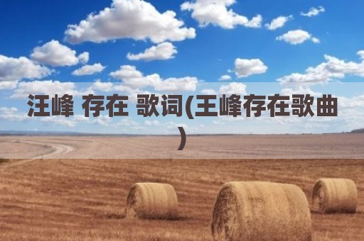 汪峰 存在 歌词(王峰存在歌曲)