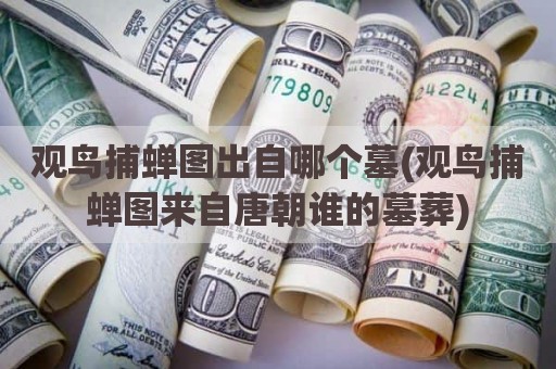 观鸟捕蝉图出自哪个墓(观鸟捕蝉图来自唐朝谁的墓葬)