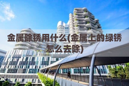 金属除锈用什么(金属上的绿锈怎么去除)
