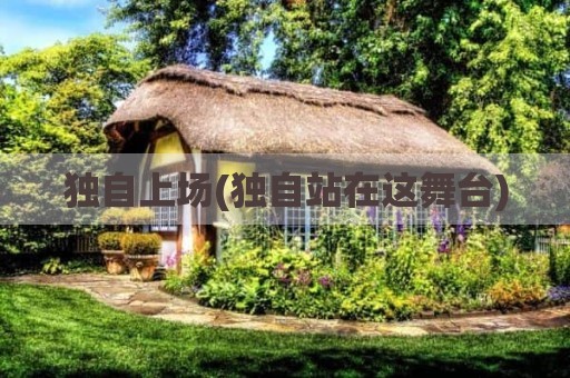 独自上场(独自站在这舞台)
