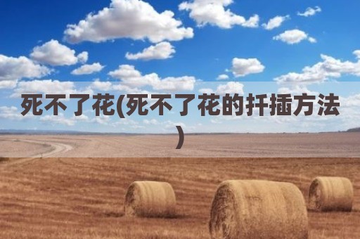 死不了花(死不了花的扦插方法)