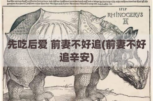 先吃后爱 前妻不好追(前妻不好追辛安)