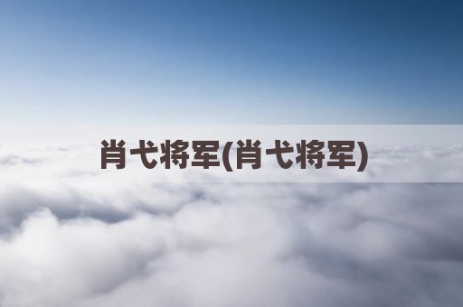 肖弋将军(肖弋将军)