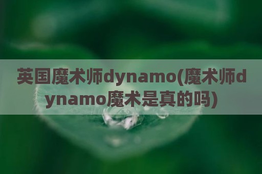 英国魔术师dynamo(魔术师dynamo魔术是真的吗)