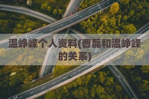 温峥嵘个人资料(曹磊和温峥嵘的关系)