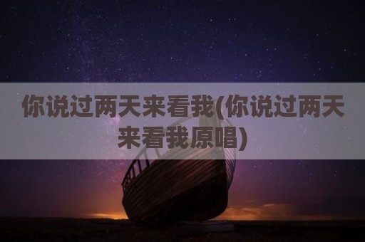 你说过两天来看我(你说过两天来看我原唱)