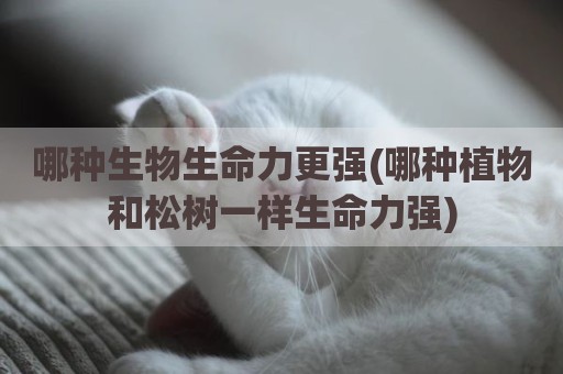 哪种生物生命力更强(哪种植物和松树一样生命力强)