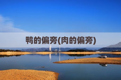 鸭的偏旁(肉的偏旁)