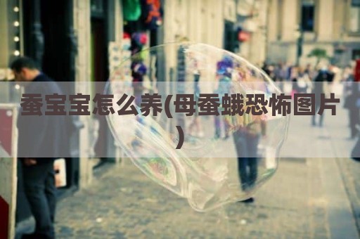 蚕宝宝怎么养(母蚕蛾恐怖图片)