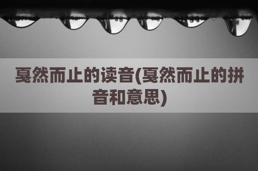戛然而止的读音(戛然而止的拼音和意思)