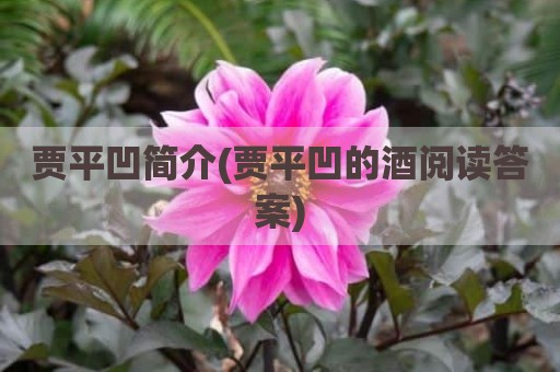 贾平凹简介(贾平凹的酒阅读答案)