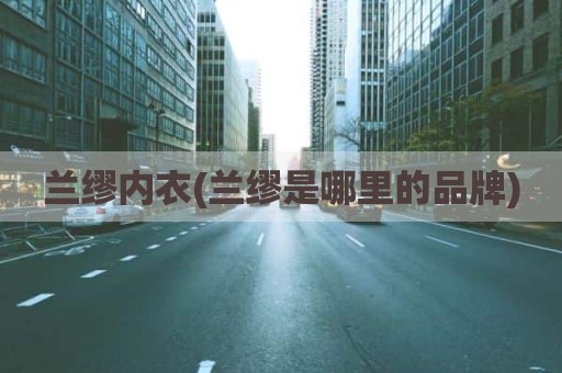 兰缪内衣(兰缪是哪里的品牌)