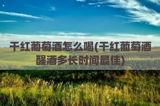 干红葡萄酒怎么喝(干红葡萄酒醒酒多长时间最佳)