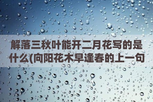 解落三秋叶能开二月花写的是什么(向阳花木早逢春的上一句)
