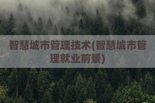 智慧城市管理技术(智慧城市管理就业前景)