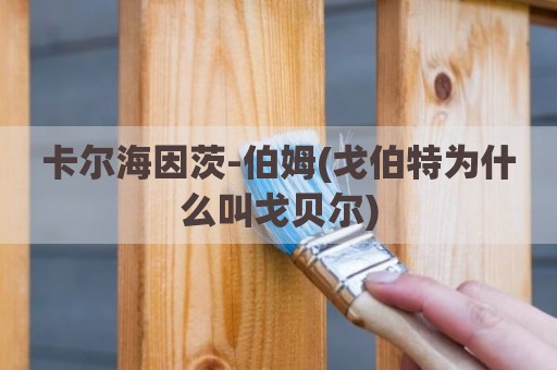 卡尔海因茨-伯姆(戈伯特为什么叫戈贝尔)