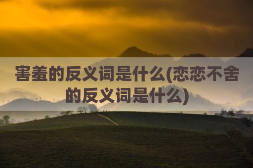 害羞的反义词是什么(恋恋不舍的反义词是什么)