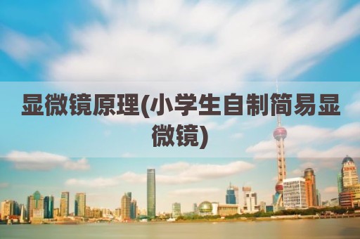 显微镜原理(小学生自制简易显微镜)