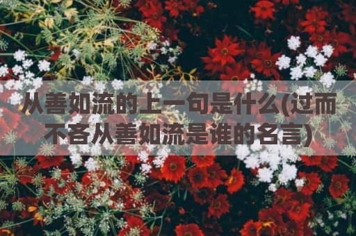 从善如流的上一句是什么(过而不吝从善如流是谁的名言)