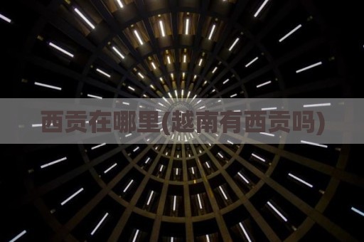 西贡在哪里(越南有西贡吗)