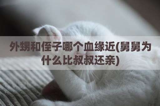 外甥和侄子哪个血缘近(舅舅为什么比叔叔还亲)
