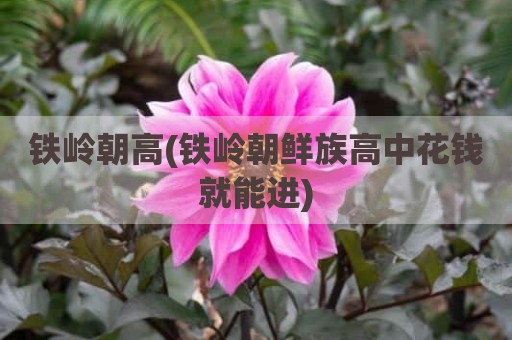 铁岭朝高(铁岭朝鲜族高中花钱就能进)