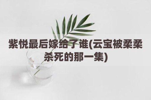 紫悦最后嫁给了谁(云宝被柔柔杀死的那一集)