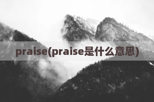praise(praise是什么意思)